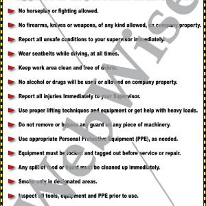 General Safety Rules Poster