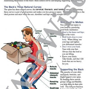 Lifting Back Safety Poster