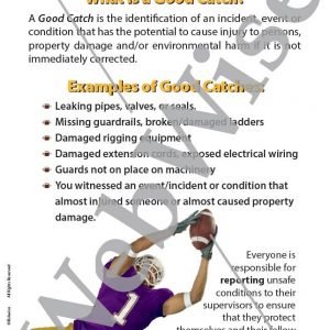 Good Catch Poster
