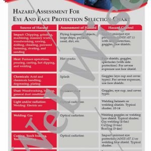 Eye and Face Protection Poster