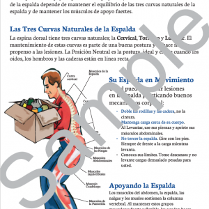 Levantamiento Seguro