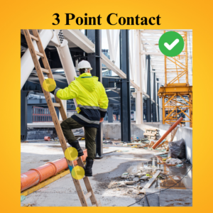 3 Point Contact Ladder